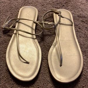 Loft gold sandals. Never worn.